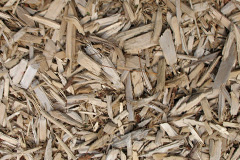 biomass boilers Puxton
